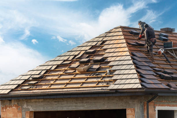 Best Emergency Roof Repair Services  in Grand Meadow, MN